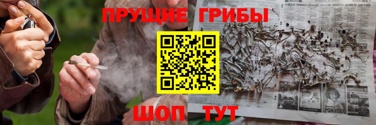 Бахчисарай  Псилоцибиновые грибы Magic Shrooms  Псилоцибиновые грибы мухоморы  Вход с VPN 